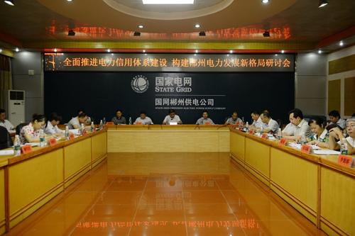 “全面推進(jìn)電力信用體系建設(shè)構(gòu)，建郴州電力發(fā)展