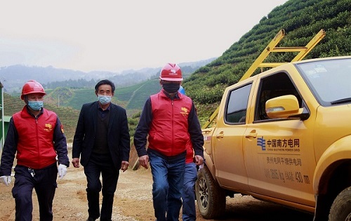 平塘供電局：“加減法”同構(gòu)服務(wù)，護(hù)航“貴州春茶第一壺”