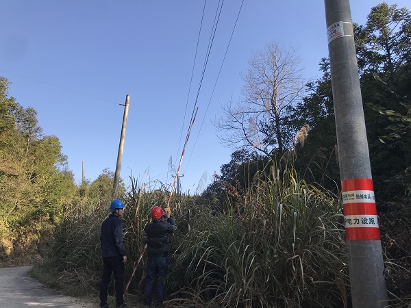 國網(wǎng)南豐縣供電公司：為電桿穿上“防撞衣”，確保交通安全