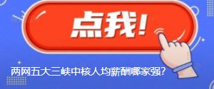 國網(wǎng)南網(wǎng)華能大唐國家能源三峽中核人均薪酬哪家強？