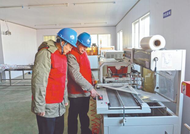 濱?？h供電公司：白首烏產業(yè)發(fā)展充上“滿格電”