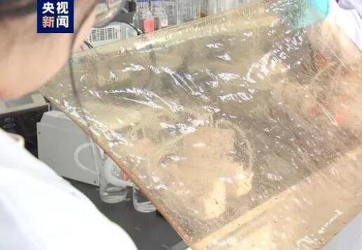 國產新型離子膜問世，有望在新能源的儲能領域廣泛應用