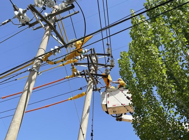 帶電作業(yè)除隱患，安全供電有保障