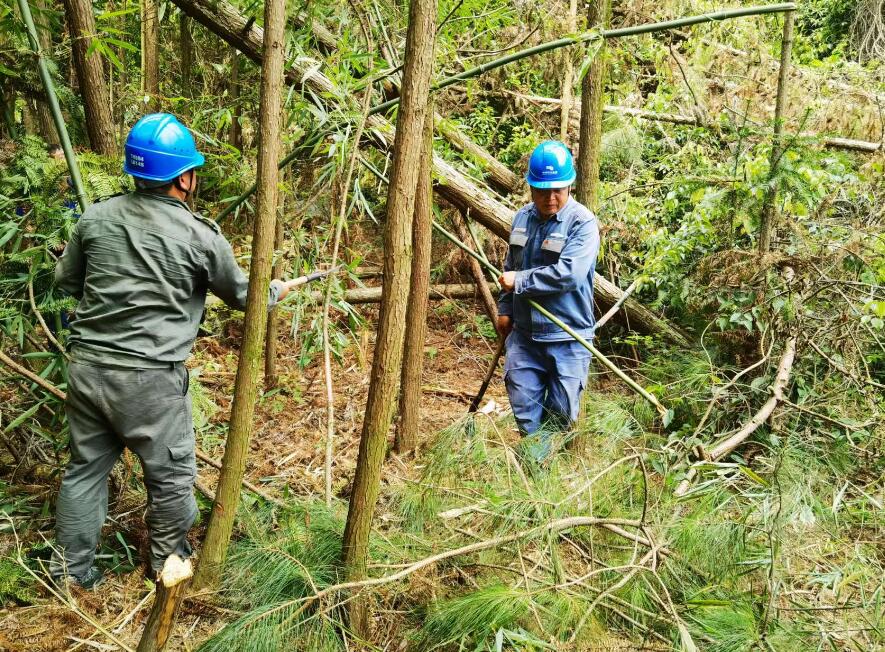 南方電網(wǎng)荔波供電局線路憂患如“猛獸”，通道清通要爭先