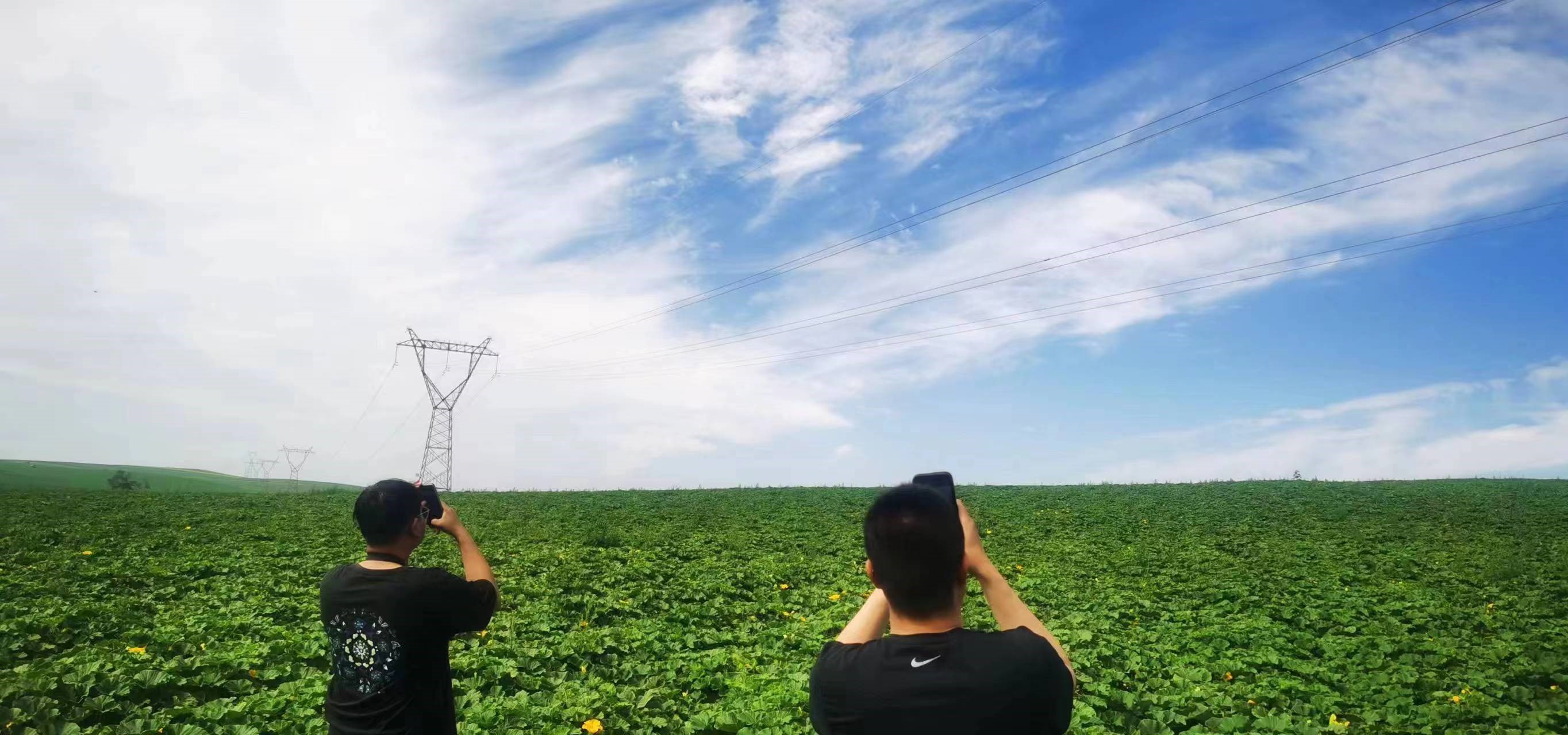 四子王輸變電管理處：防外力破壞，助安全運(yùn)行