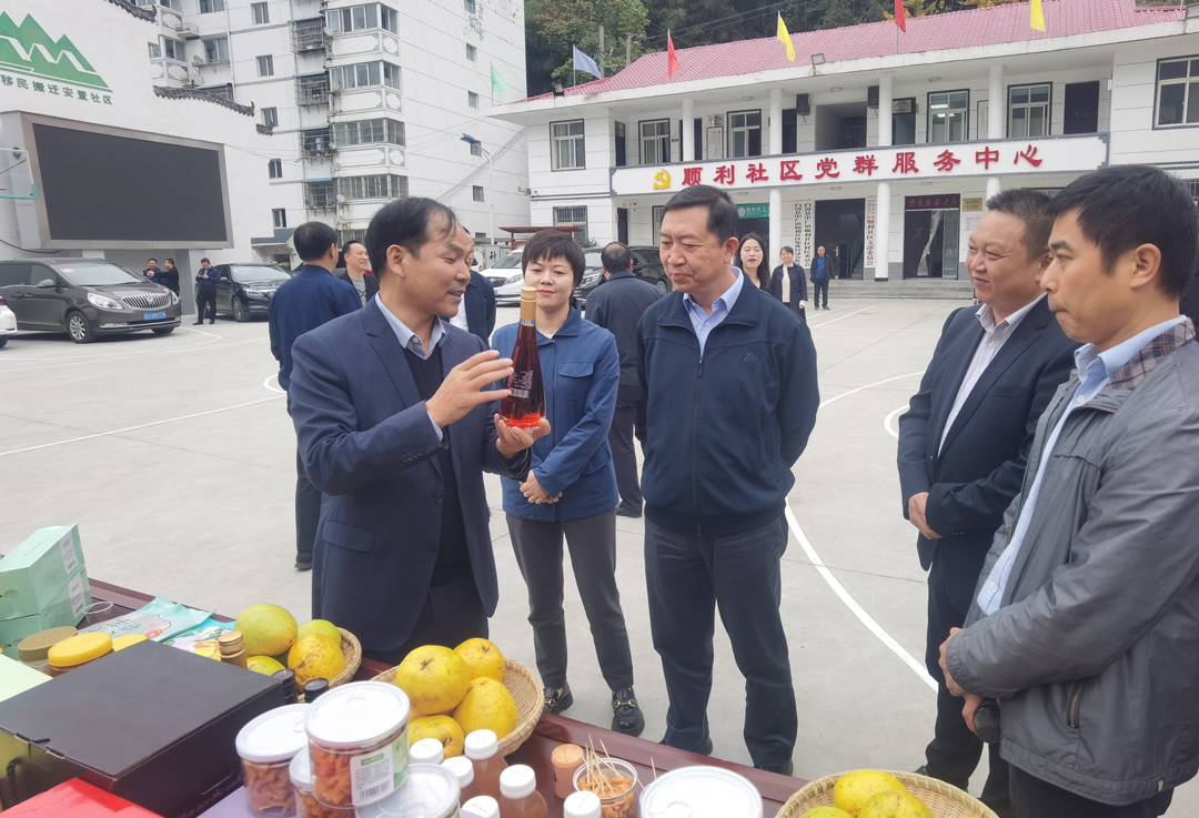 中核集團總經(jīng)理、黨組副書記顧軍赴陜西白河、旬陽調(diào)研鄉(xiāng)村振興工作