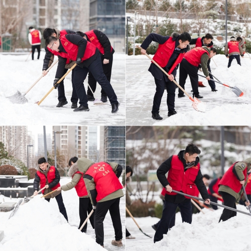 白雪更映“志愿紅”，山東電建公司志愿者掃雪除冰在行動(dòng)