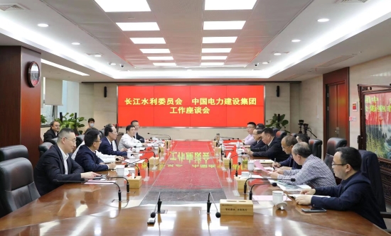 中國電建黨委書記、董事長丁焰章與長江水利委員會黨組書記、主任劉冬順會談