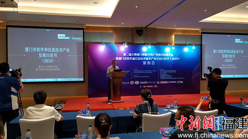 廈門(mén)軟件業(yè)領(lǐng)跑全省，技術(shù)服務(wù)成新引擎